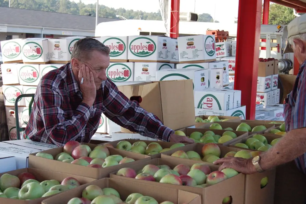 A farmer selling apples at a farmers market stand