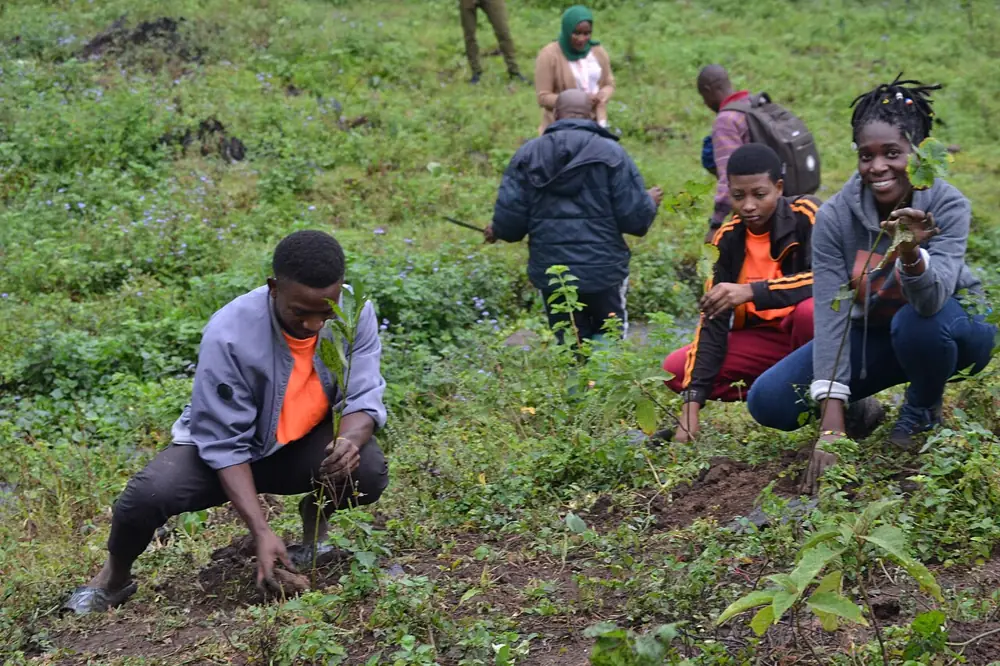 Volunteers planting trees